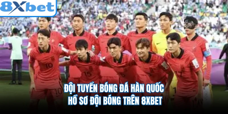Đội Tuyển Bóng Đá Hàn Quốc - Hồ Sơ Đội Bóng Trên 8XBET